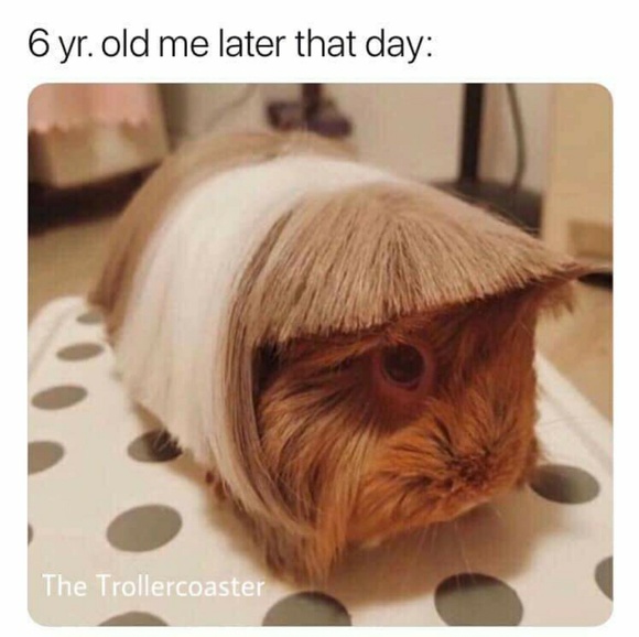 Meet your Posher, Meagan - Picture 1 of 1